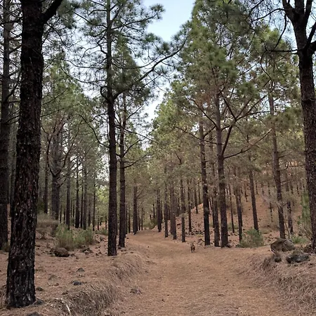 Masca, Teide, Gigantes, Excursions, Ac, Wifi-3